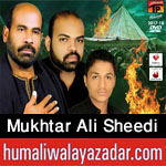 http://www.humaliwalayazadar.com/2012/10/mukhtar-ali-sheedi-nohay-2000-2013.html