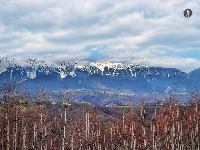 Amfiteatrul Transilvania, traseul ecoturistic T9 - Moieciu de Sus