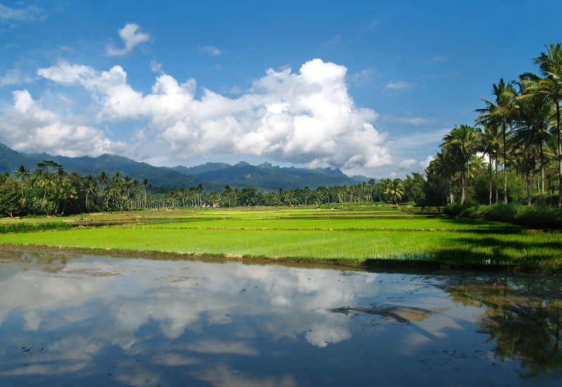 Beautiful Scenery in Indonesia Indonesia view