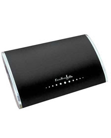 EXCELSTOR GSTOR WAVE 250 GB-PORTABL E HARDISK