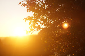 winter sunsets and mist in the Norfolk countryside