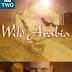 Xem Phim Wild Arabia - Wild Arabia (2013) Vietsub Trọn Bộ 