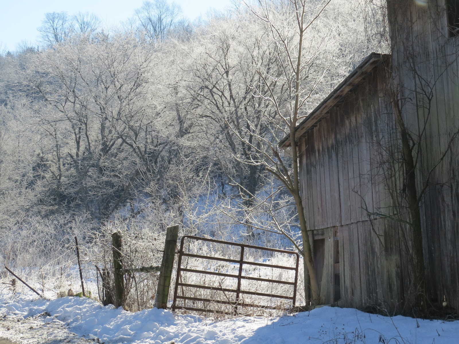 barn and gate with sun on snow