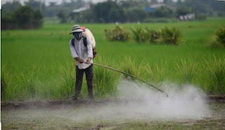 Soil pollution by using pesticides