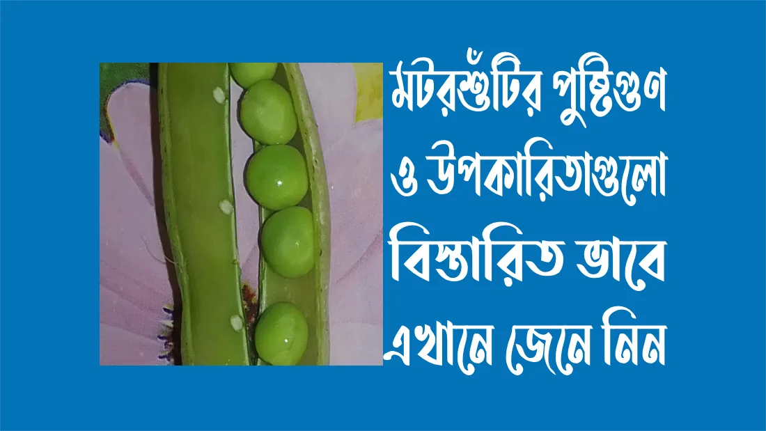 মটরশুঁটির উপকারিতা
