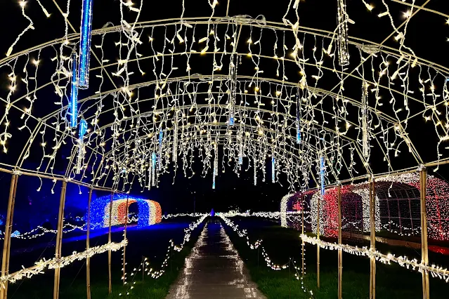 A photo taken from inside a light tunnel with fairy lights dangling down. Two further light tunnels with coloured lights are visible in the background
