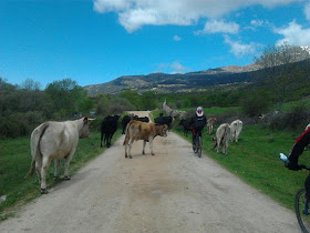 Unas fotos de nuestra ruta de Madrid a Segovia - Abril 2013