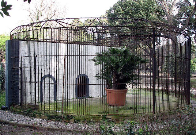 Cages and palm trees, Livorno