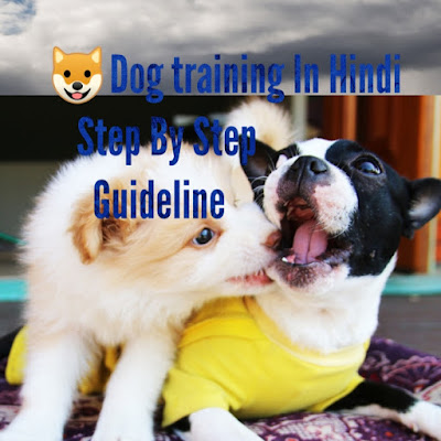 Dog training in hindi