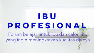 Institut Ibu Profesional