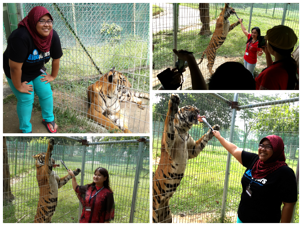 Jalan Jalan Cari Jalan: A Famosa Resort Safari Wonderland