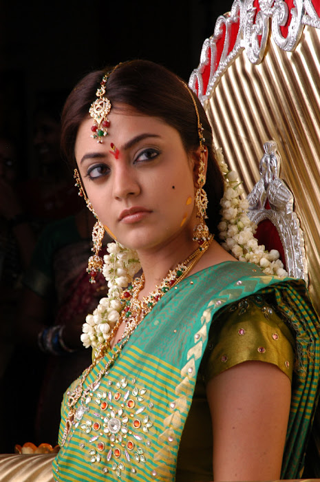 nisha agarwal new in traditional saree in solo unseen pics