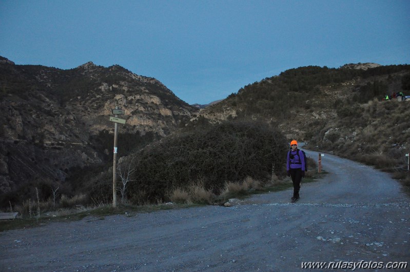 Trevenque - Cerro del Cocón - Cerro Gordo - Pico de la Carne