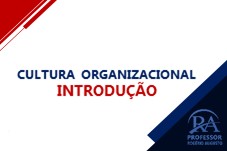 CULTURA ORGANIZACIONAL - INTRODUÇÃO