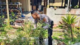 Polsek Juntinyuat Dukung Ketahanan Pangan, Monitoring Perkembangan Kebun Sayuran di Perkarangan Kantor