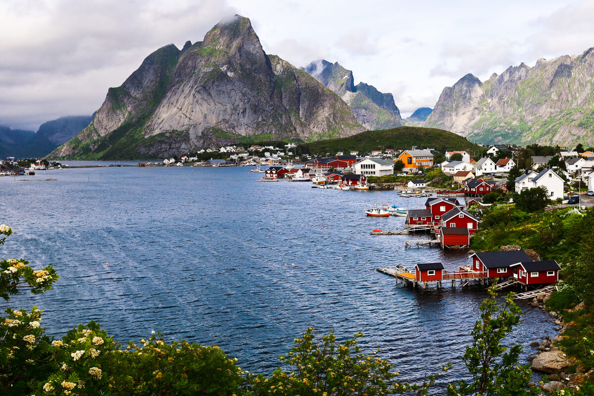 Reine