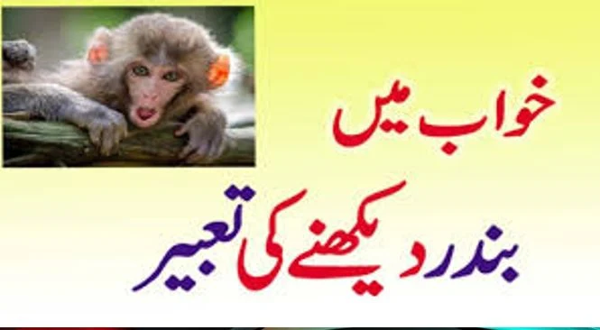 khwab Mein Bandar Monkey Dekhnay ki Tabeer,khwab Mein Monkey Dekhnay ki Tabeer,khwab Mein  Monkey Dekhnay ki Tabeer, خواب میں بندر دیکھنے کی تعبیر,ب,