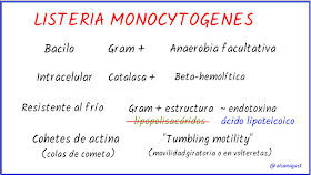 listeria monocitogenes, listeriosis