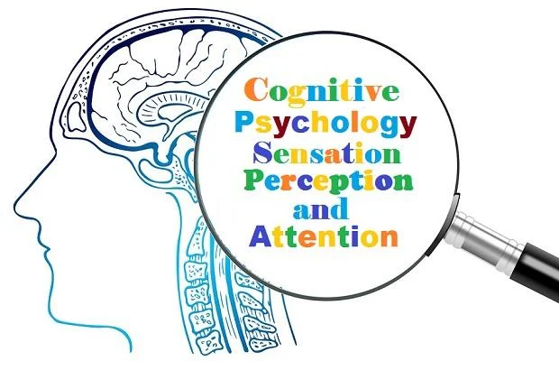 Cognitive psychology