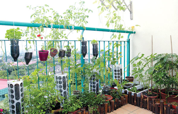 Aktiviti Berkebun Di Rumah