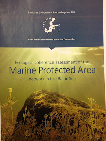 Kuva HELCOM-raportin "Marine Protected Area" kannesta, jossa on kaunis kuva veden alta