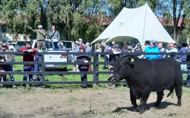 Suspenden día del toro