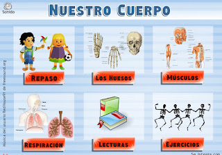 http://www.vedoque.com/juegos/el-cuerpo.swf