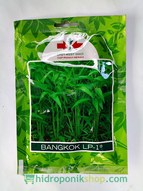 Kangkung Hidroponik Seputar Budidaya Tanaman Hidroponik Kangkung Hidroponik Seputar Budidaya Tanaman Hidroponik