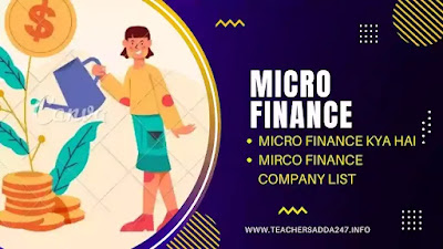माइक्रोफाइनेंस क्या है | what is microfinance