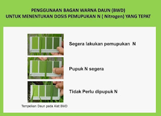 Download Bagan Warna Daun (BWD)