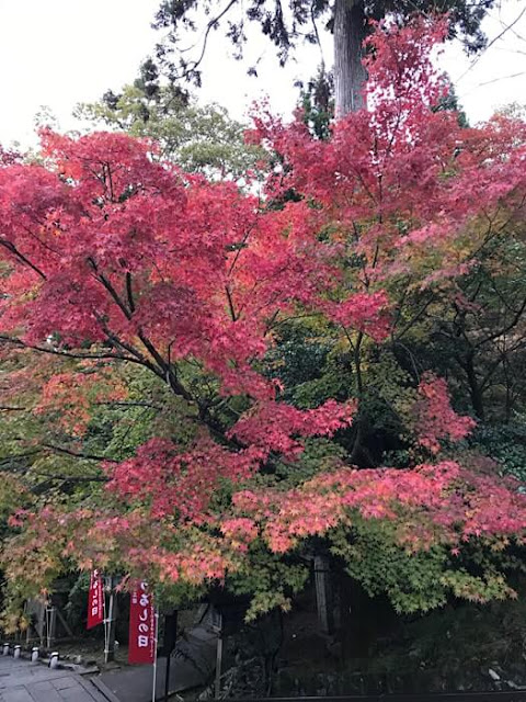 虚空蔵法輪寺