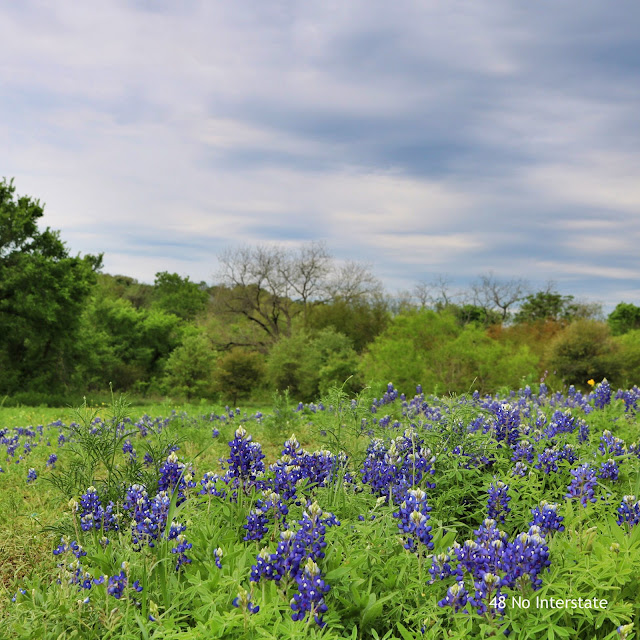 48 No Interstate: Planning a Back Roads Road Trip series - Six Reasons You Should Take a Back Roads Road Trip in 2017