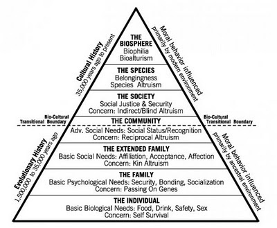 hierarchy of needs. Shermer#39;s Hierarchy of Needs