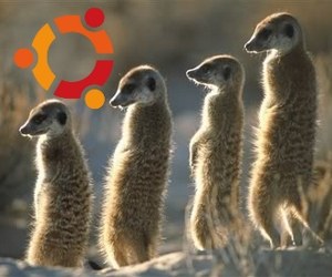 Ubuntu 10.10 Maverick Meerkat RC, a voi il torrent