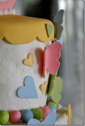 IMG_3830 (2) (533x800)