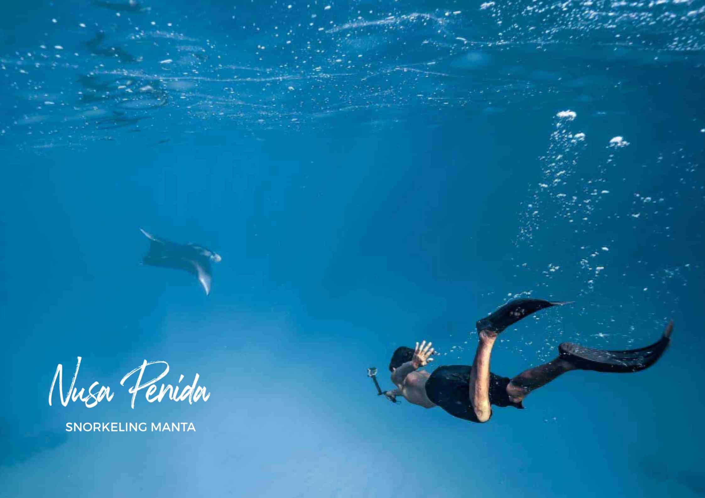 snorkeling-manta-bay-nusa-penida-dive-into-a-world-of-wonder