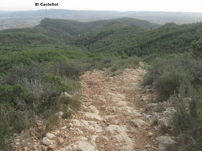 El Castellot-Puig de la Cogulla-Torre de Cal Pascol, camí en direcció a la Torre de Cal Pascol