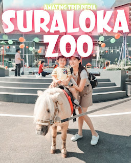 SURALOKA ZOO JOGJA - Reviews, Ticket Prices, Opening Hours, Locations And Activities [Latest]