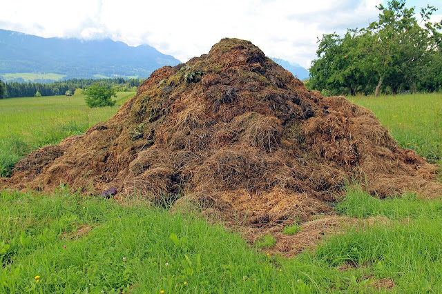 Wenn Sie einen Berkeley Hot Composting-Haufen aufstellen, muss dieser 1 Kubikmeter groß sein und das Verhältnis von Kohlenstoff zu Stickstoff beträgt 3:1