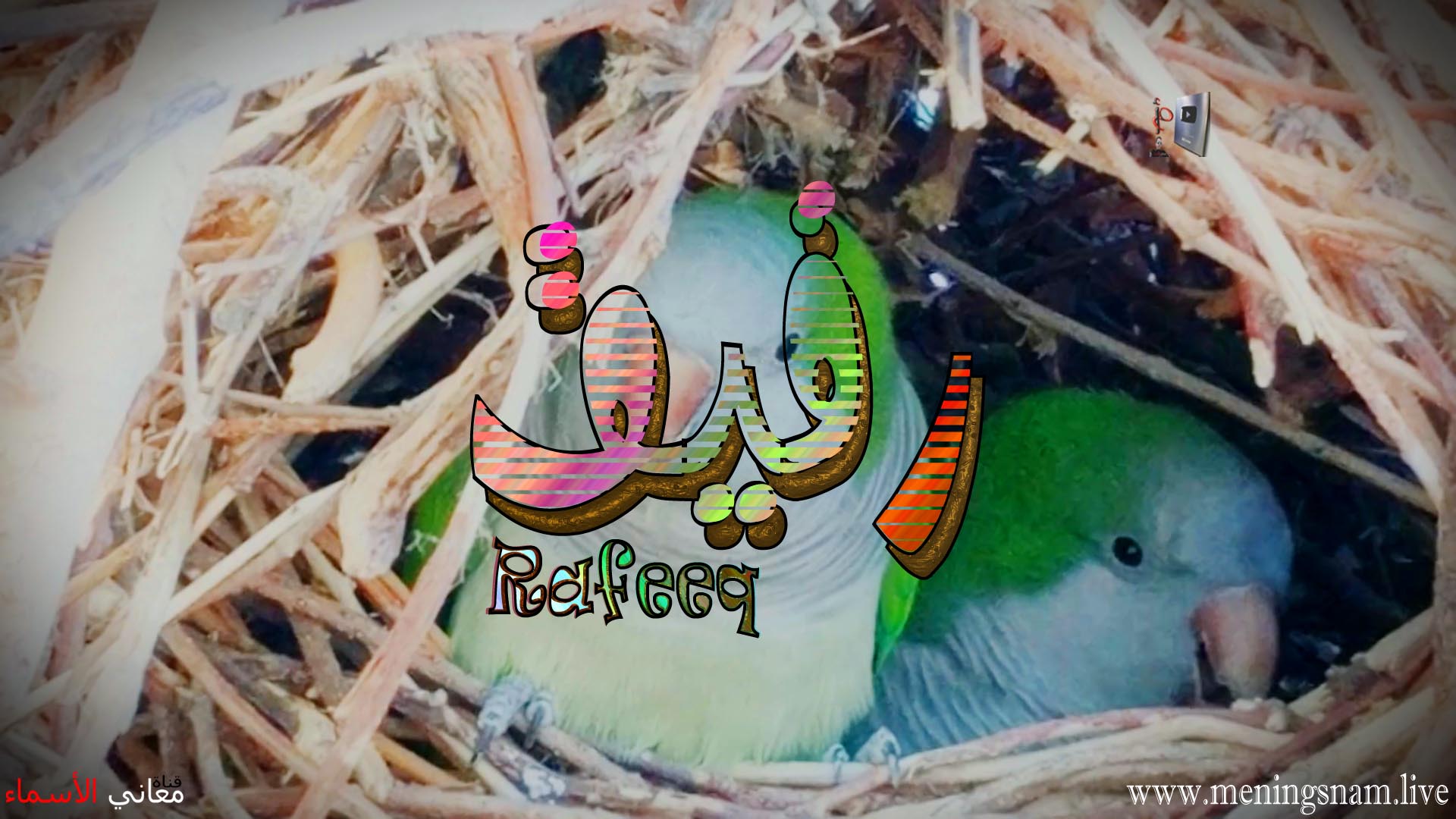 معنى اسم, رفيق, وصفات, حامل, هذا الاسم, Rafeeq,