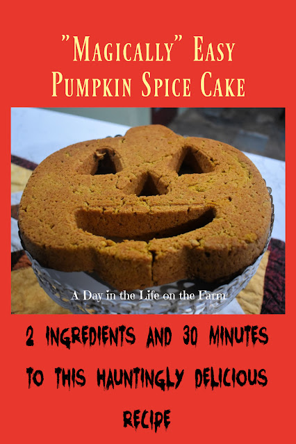 Magically Easy Pumpkin Spice Cake