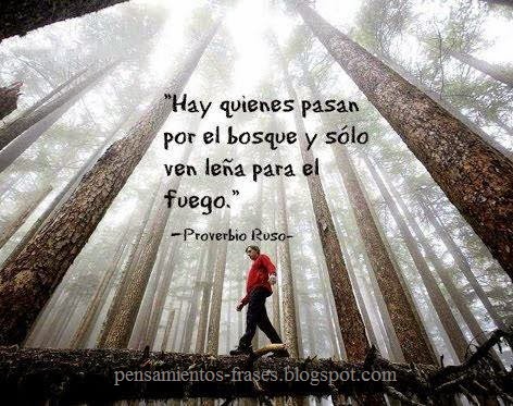 Proverbio Ruso