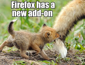 30 Funny animal captions - part 21 (30 pics), captioned animal pictures, baby fox