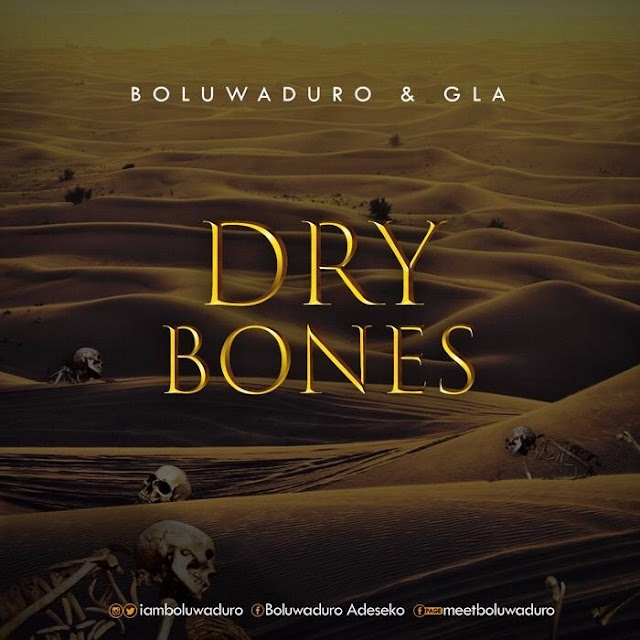 Download Audio: Boluwaduro - Dry Bones mp3