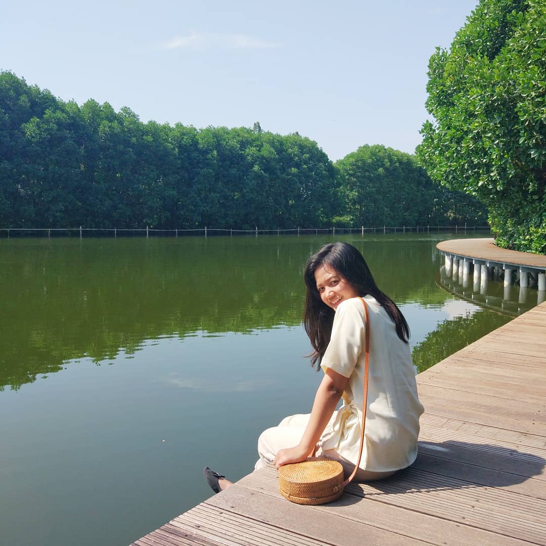 Indahnya Hutan Mangrove Pik Ketahui Juga Lokasi Harga