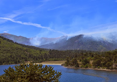 Los incendios en Aluminé ya arrasaron más de 100 hectáreas 