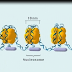 DNA අණු වලින් වර්ණදේහ සැදෙන අයුරැ අපුර්ව සජිවකරණයකින් නරඹන්න......