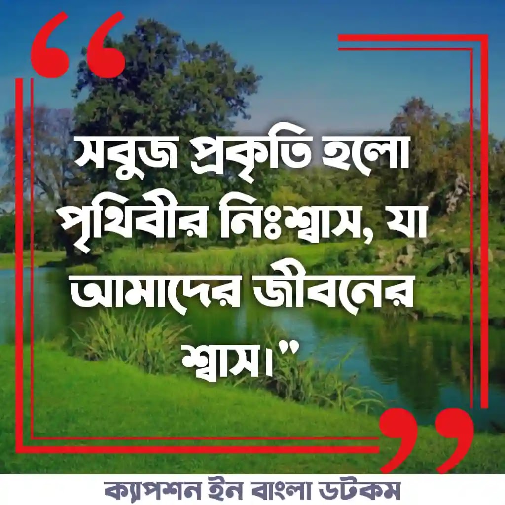 সবুজ প্রকৃতি নিয়ে ক্যাপশন - সবুজ প্রকৃতি নিয়ে কবিতা - সবুজ প্রকৃতি নিয়ে ছন্দ - সবুজ প্রকৃতি নিয়ে ক্যাপশন english - সবুজ প্রকৃতি নিয়ে কিছু কথা - সবুজ প্রকৃতি নিয়ে উক্তি