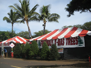 Friendly Xmas Trees