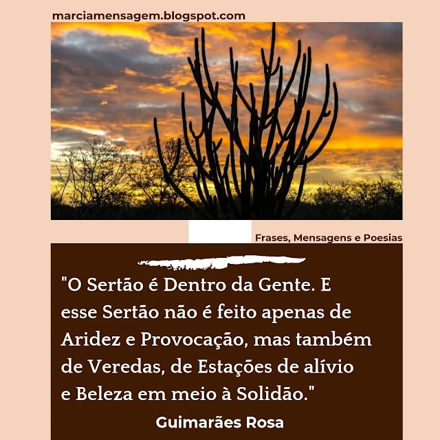 "O Sertão é Dentro da Gente. E esse Sertão não é feito apenas de Aridez e Provocação, mas também de Veredas, de Estações de alívio e Beleza em meio à Solidão."  Guimarães Rosa